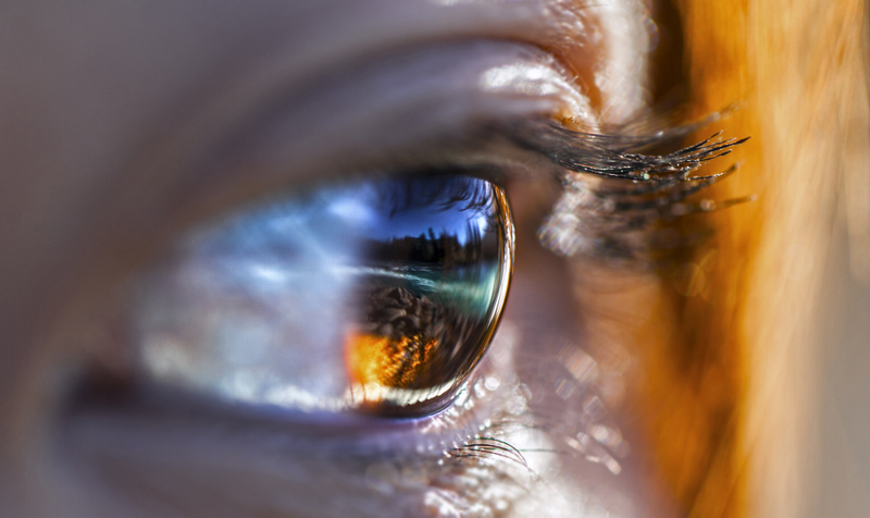Illustration for article titled The best world photos of 2013